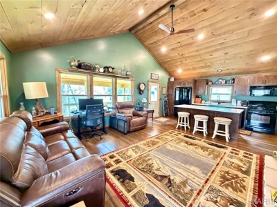 3 Bedroom Home with Land and Cabin for Sale in Salem, Missouri - image 9