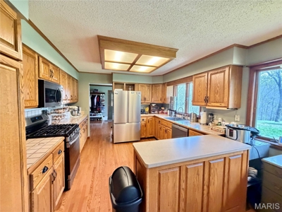 3 Bedroom Home with Land and Cabin for Sale in Salem, Missouri - image 5