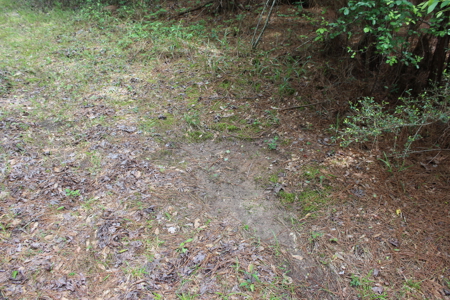 14.4 Acres Land For Sale Pike County Jayess Mississippi - image 8