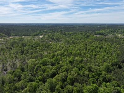 14.4 Acres Land For Sale Pike County Jayess Mississippi - image 15