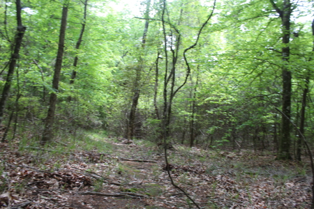 14.4 Acres Land For Sale Pike County Jayess Mississippi - image 13