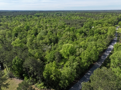 14.4 Acres Land For Sale Pike County Jayess Mississippi - image 17