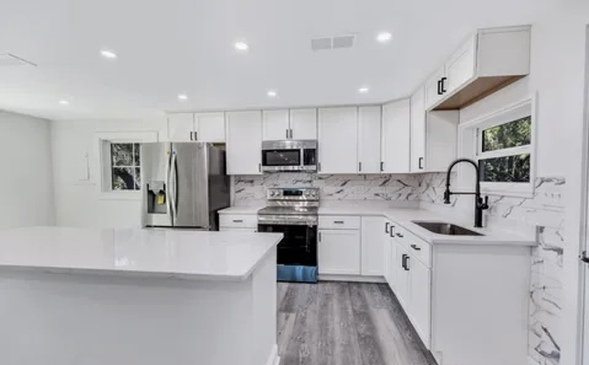 Newly Remodeled 4 bed 3 Bath Home with Lakeview in Keystone, FL