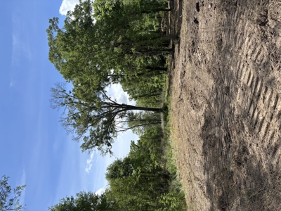 2.75 Acres for Sale in Opelousas, Louisiana - image 5