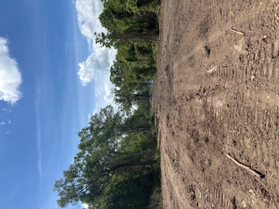 2.75 Acres for Sale in Opelousas, Louisiana - image 4