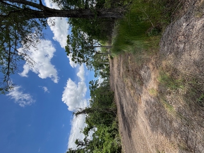 2.75 Acres for Sale in Opelousas, Louisiana - image 3