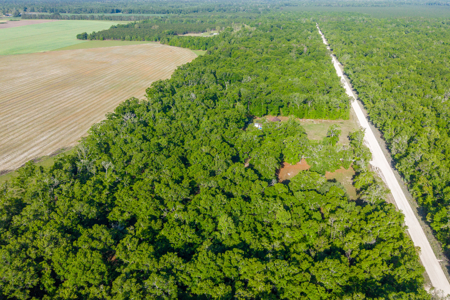 Peaceful Country Living, 3-Bedroom Home on 4 Acres in O’Brien - image 12