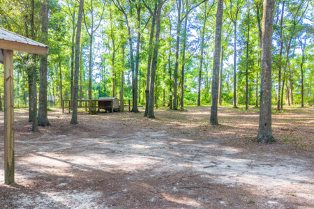 Peaceful Country Living, 3-Bedroom Home on 4 Acres in O’Brien - image 15