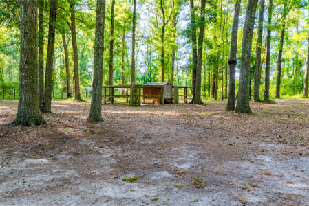 Peaceful Country Living, 3-Bedroom Home on 4 Acres in O’Brien - image 2