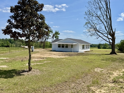 Completely Remodeled Country Home - Slocomb AL - Fadette - image 25