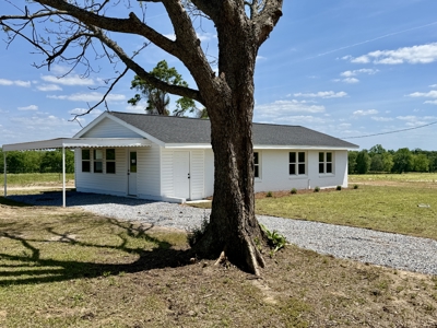 Completely Remodeled Country Home - Slocomb AL - Fadette - image 8