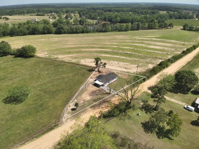 Completely Remodeled Country Home - Slocomb AL - Fadette - image 38