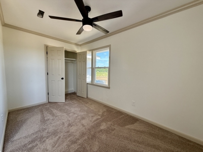 Completely Remodeled Country Home - Slocomb AL - Fadette - image 16