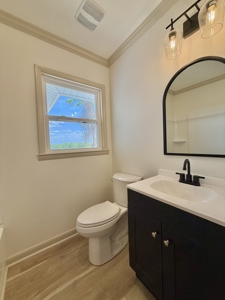 Completely Remodeled Country Home - Slocomb AL - Fadette - image 7