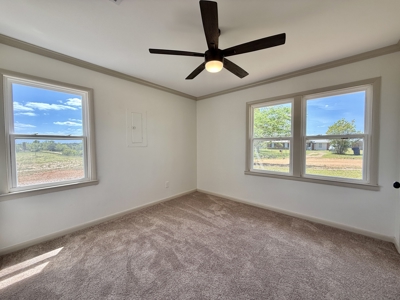 Completely Remodeled Country Home - Slocomb AL - Fadette - image 18