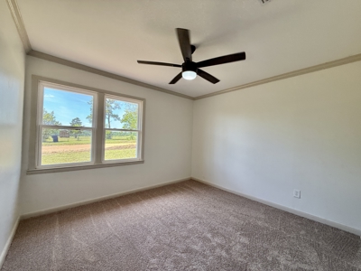 Completely Remodeled Country Home - Slocomb AL - Fadette - image 14