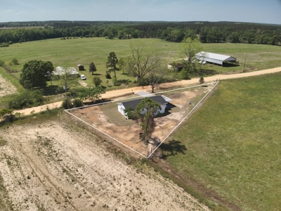 Completely Remodeled Country Home - Slocomb AL - Fadette - image 27