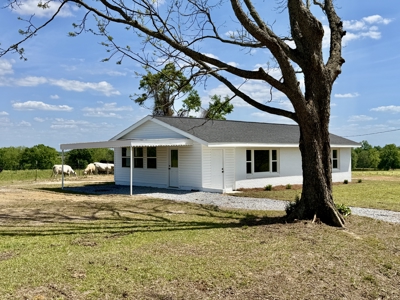 Completely Remodeled Country Home - Slocomb AL - Fadette - image 26