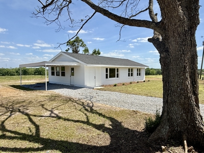 Completely Remodeled Country Home - Slocomb AL - Fadette - image 33