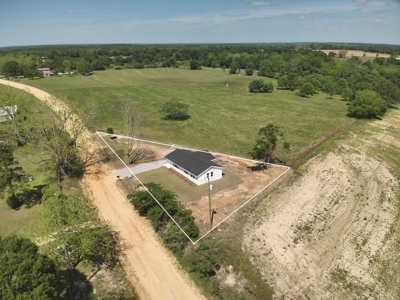 Completely Remodeled Country Home - Slocomb AL - Fadette - image 2