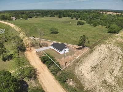 Completely Remodeled Country Home - Slocomb AL - Fadette - image 37