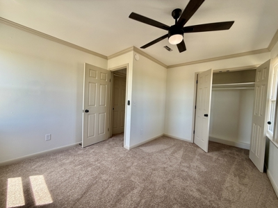 Completely Remodeled Country Home - Slocomb AL - Fadette - image 17