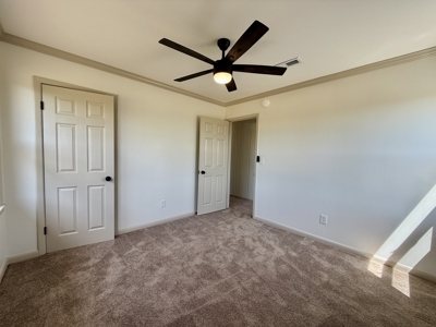 Completely Remodeled Country Home - Slocomb AL - Fadette - image 19