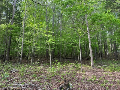 Mooresville Mystique: Your Private 3-Acre Kerr Lake Retreat - image 10