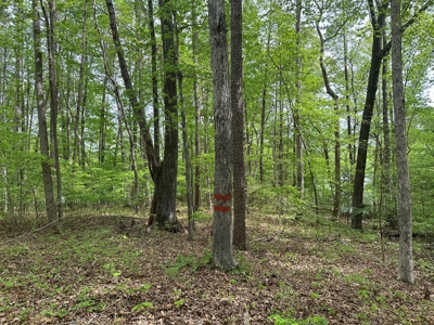 Mooresville Mystique: Your Private 3-Acre Kerr Lake Retreat - image 11