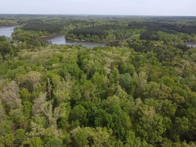 Mooresville Mystique: Your Private 3-Acre Kerr Lake Retreat - image 16