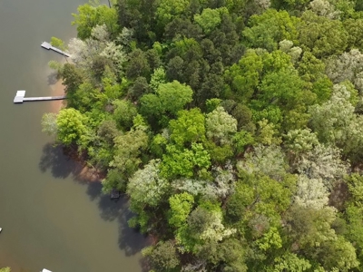 Mooresville Mystique: Your Private 3-Acre Kerr Lake Retreat - image 19