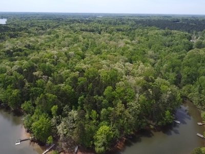 Mooresville Mystique: Your Private 3-Acre Kerr Lake Retreat - image 17