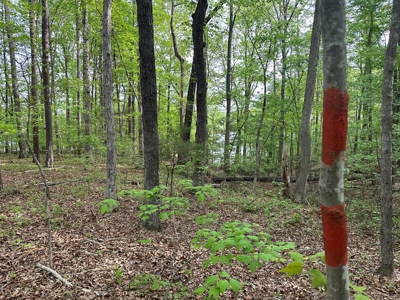 Mooresville Mystique: Your Private 3-Acre Kerr Lake Retreat - image 1