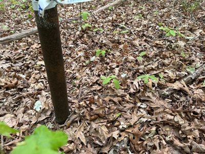 Lakeside Grove Retreat Near Kerr Lake Opportunity - image 11