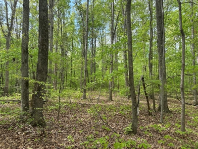 Lakeside Grove Retreat Near Kerr Lake Opportunity - image 9