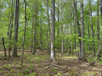 Lakeside Grove Retreat Near Kerr Lake Opportunity - image 1