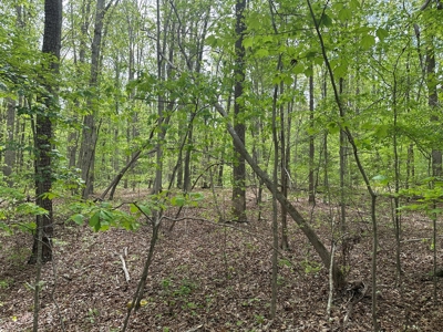 Lakeside Grove Retreat Near Kerr Lake Opportunity - image 8