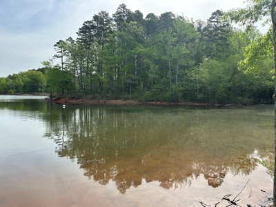 Lakeside Grove Retreat Near Kerr Lake Opportunity - image 3