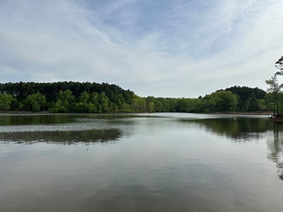 Lakeside Grove Retreat Near Kerr Lake Opportunity - image 2