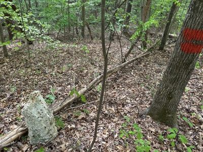 Lakeside Grove Retreat Near Kerr Lake Opportunity - image 14