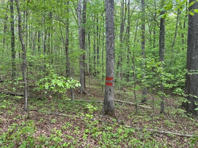 Lakeside Grove Retreat Near Kerr Lake Opportunity - image 12