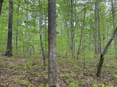 Lakeside Grove Retreat Near Kerr Lake Opportunity - image 18