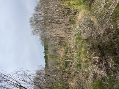 3.35 Acres Waterfront with No Restrictions - image 25