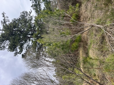 3.35 Acres Waterfront with No Restrictions - image 23