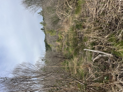 3.35 Acres Waterfront with No Restrictions - image 22