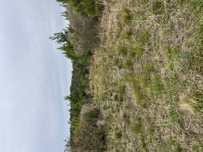 3.35 Acres Waterfront with No Restrictions - image 19