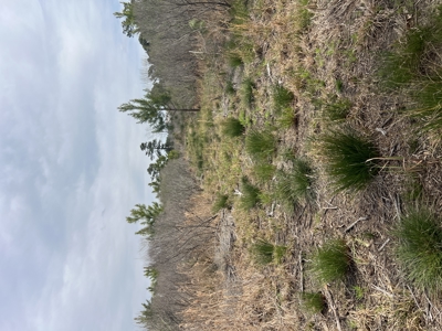 3.35 Acres Waterfront with No Restrictions - image 26