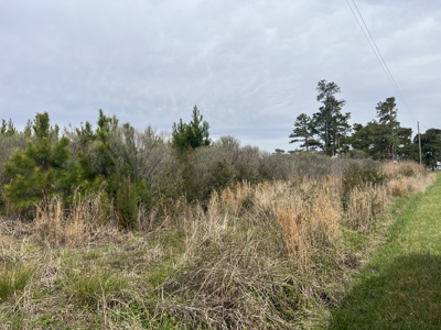 3.35 Acres Waterfront with No Restrictions - image 20