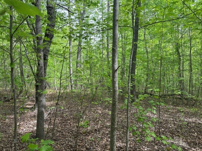 Hidden Hollow: Private 2-Lot Gem Near Buggs Island Lake, VA - image 1