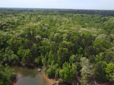 Hidden Hollow: Private 2-Lot Gem Near Buggs Island Lake, VA - image 8